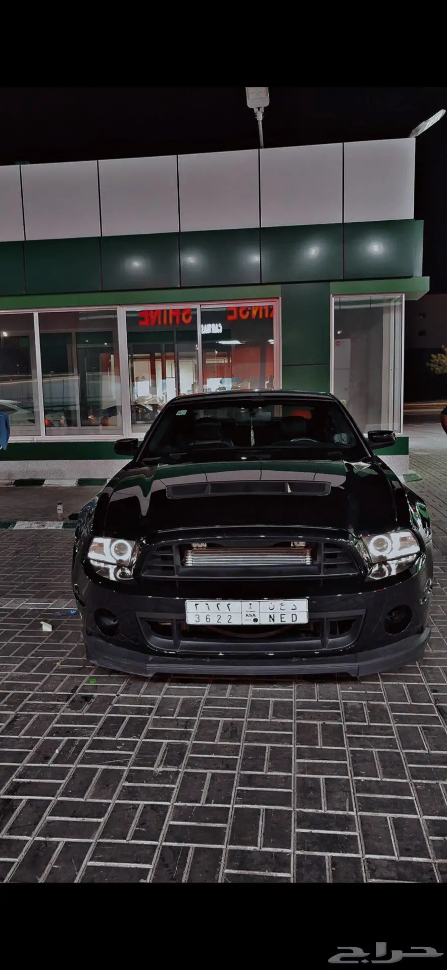 موستنج 2010 2