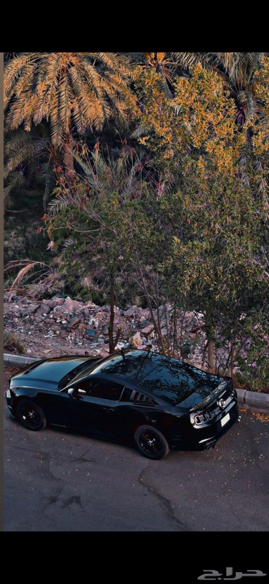 موستنج 2010 1