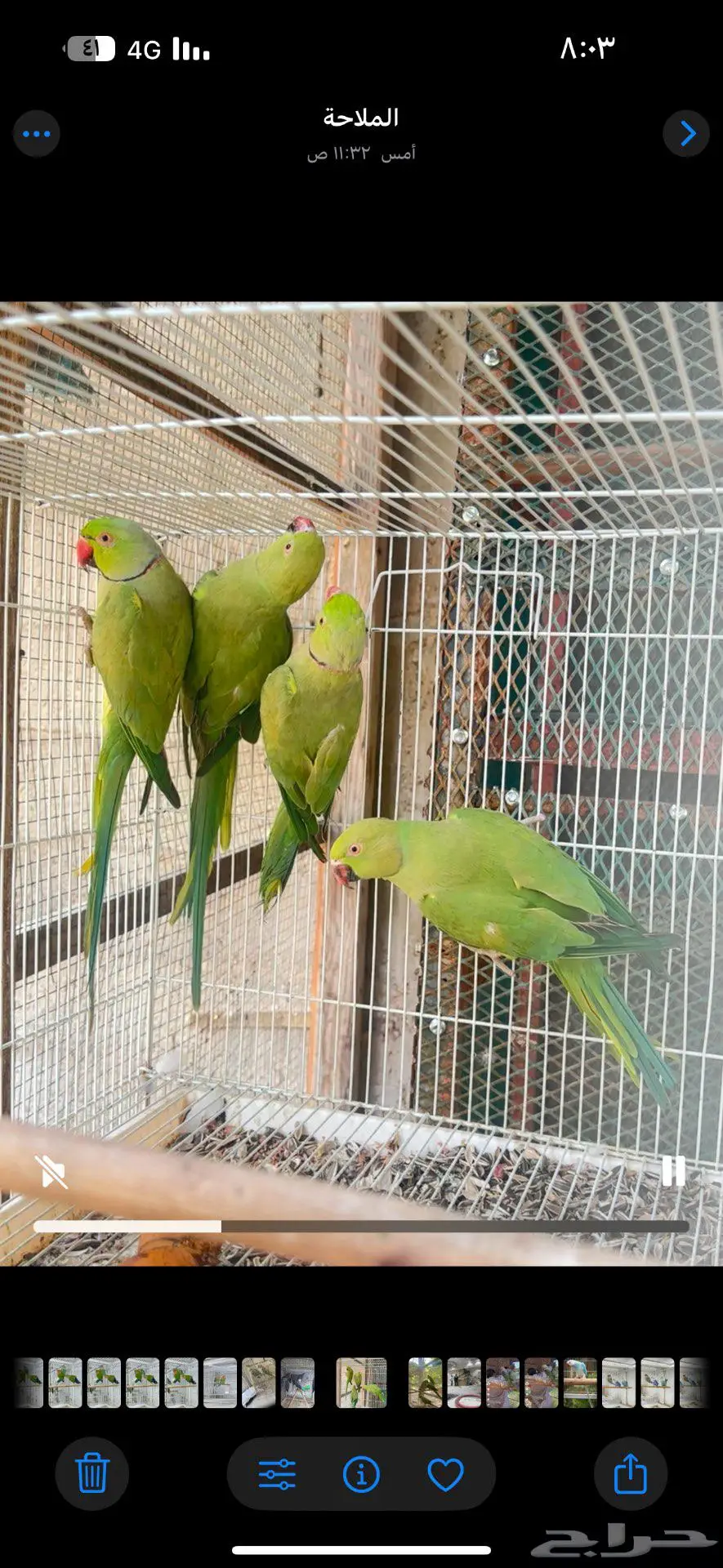 ازواج درة 0
