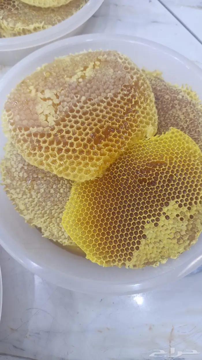 عسل وشمع طبيعي سمر وطلح 12