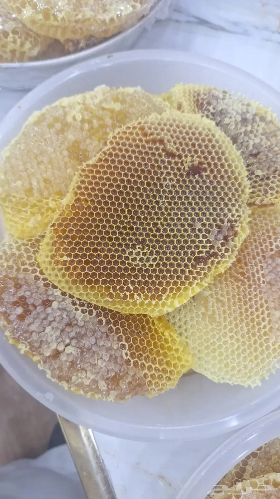 عسل وشمع طبيعي سمر وطلح 13