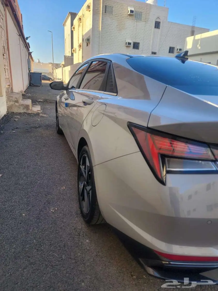 النترا2021 2