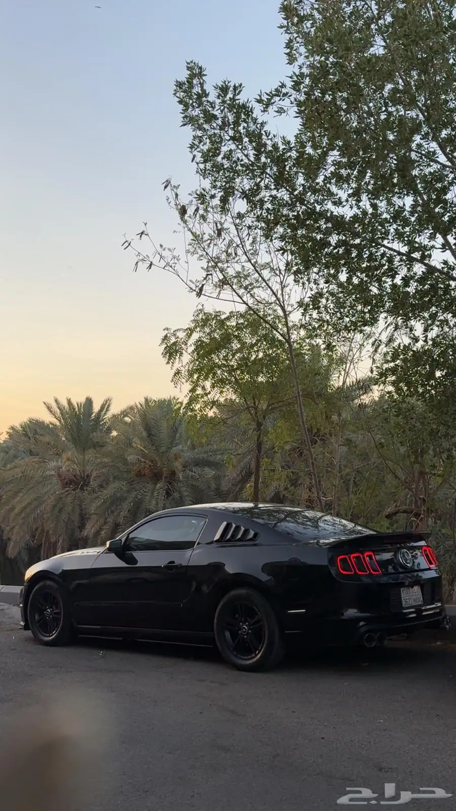 موستنج 2010 0
