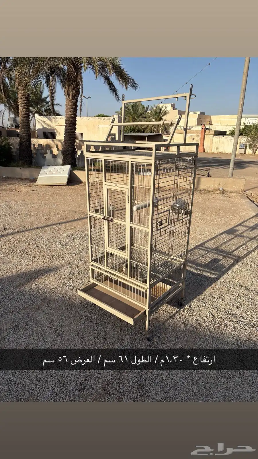 شبك ببغاء 0