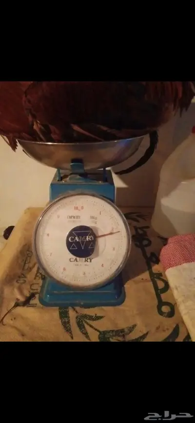 ديوك فرنسية بلدي 6