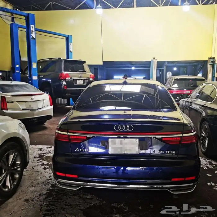 دودة أودي كهربائية 1