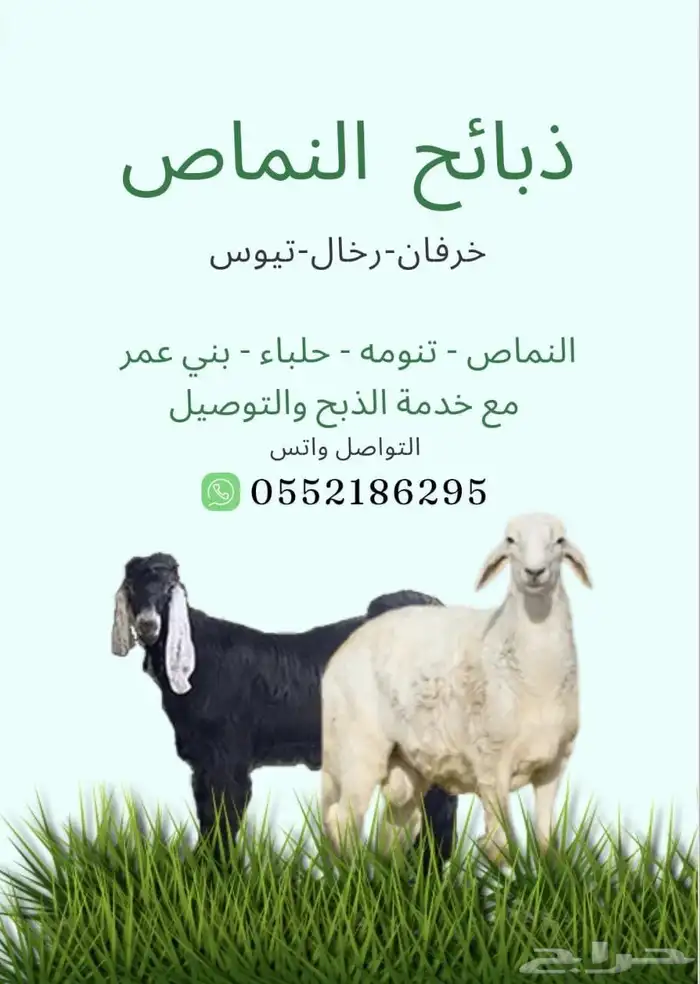 النماص تيوس طليان رخال عنقان خدمة التوصيل 0