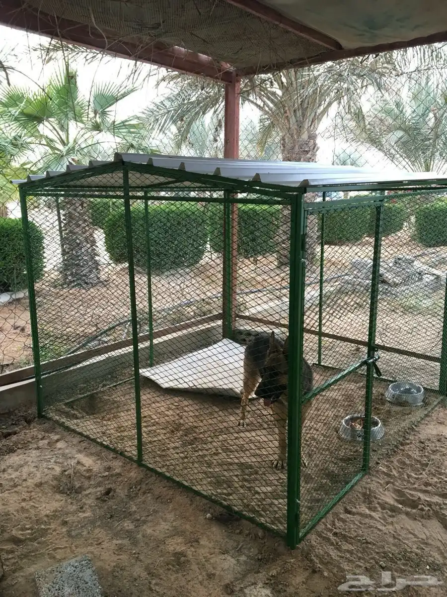 شبك عشه 0