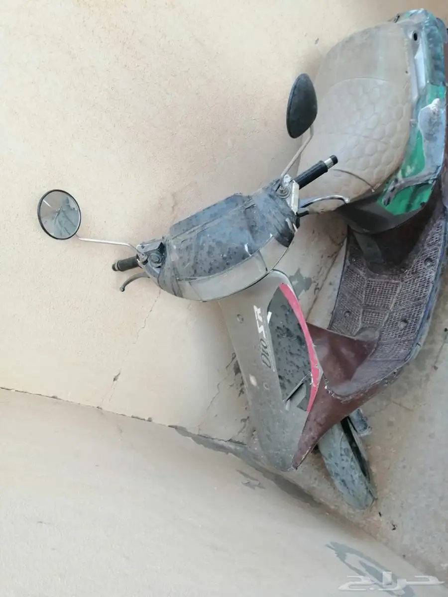 دباب بطة للبيع 3