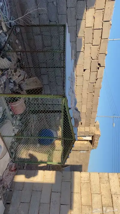 شبك بقلاوه 0