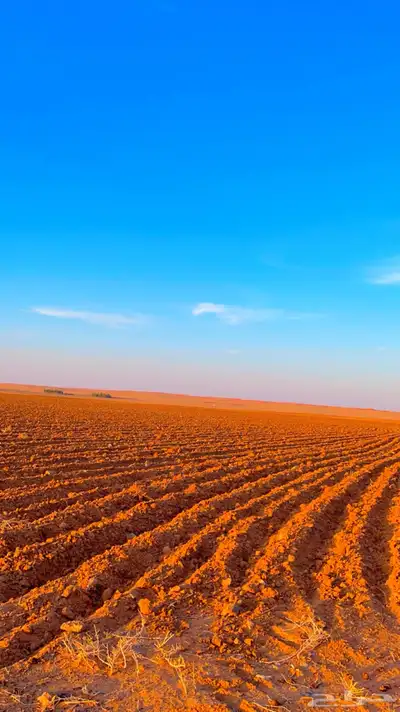 مزرعة للايجار 9