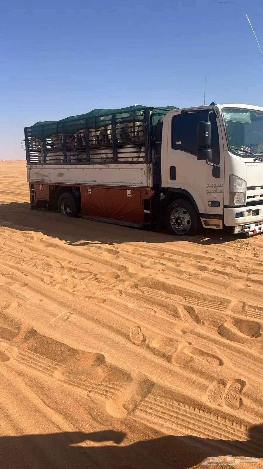 دينا دنه طابقين وادي الدواسر السليل 7