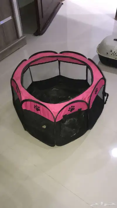 اغراض قطط 2