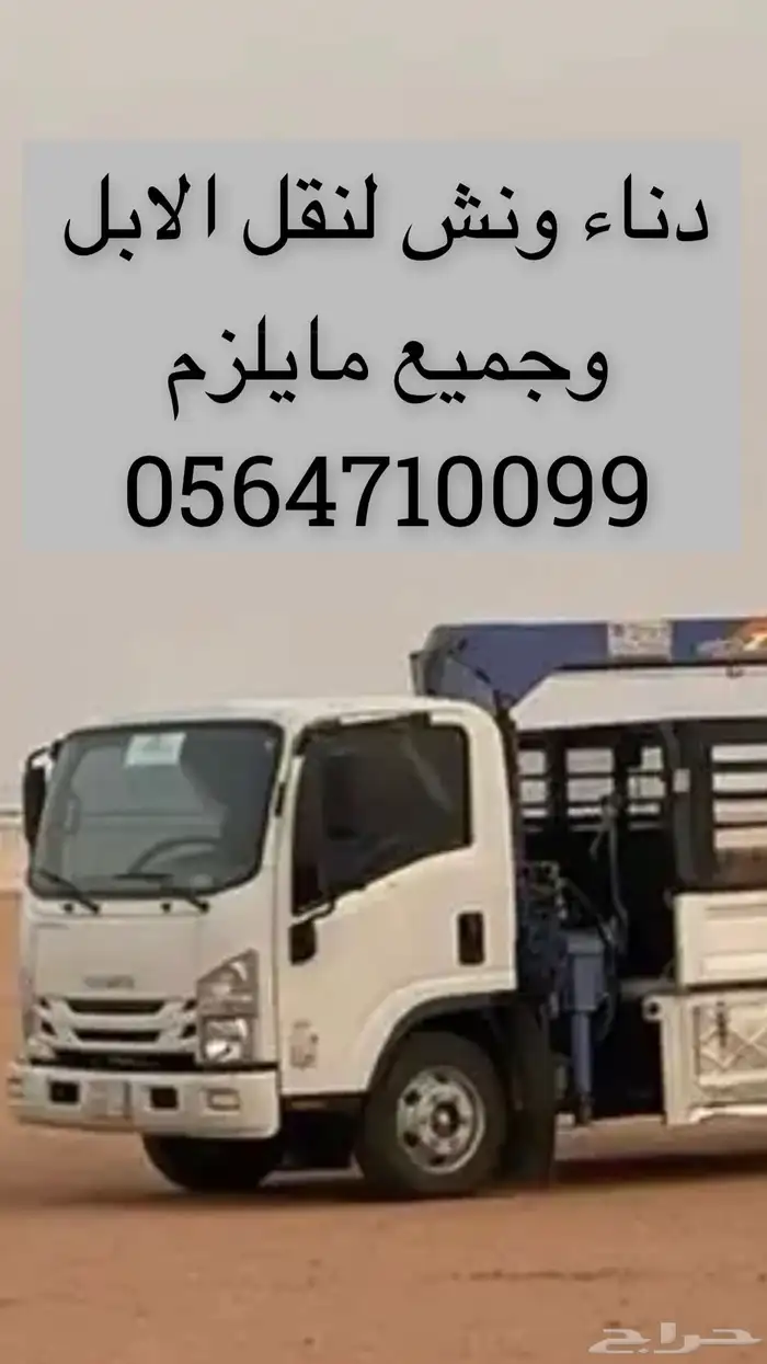 دناء الحناكيه 0