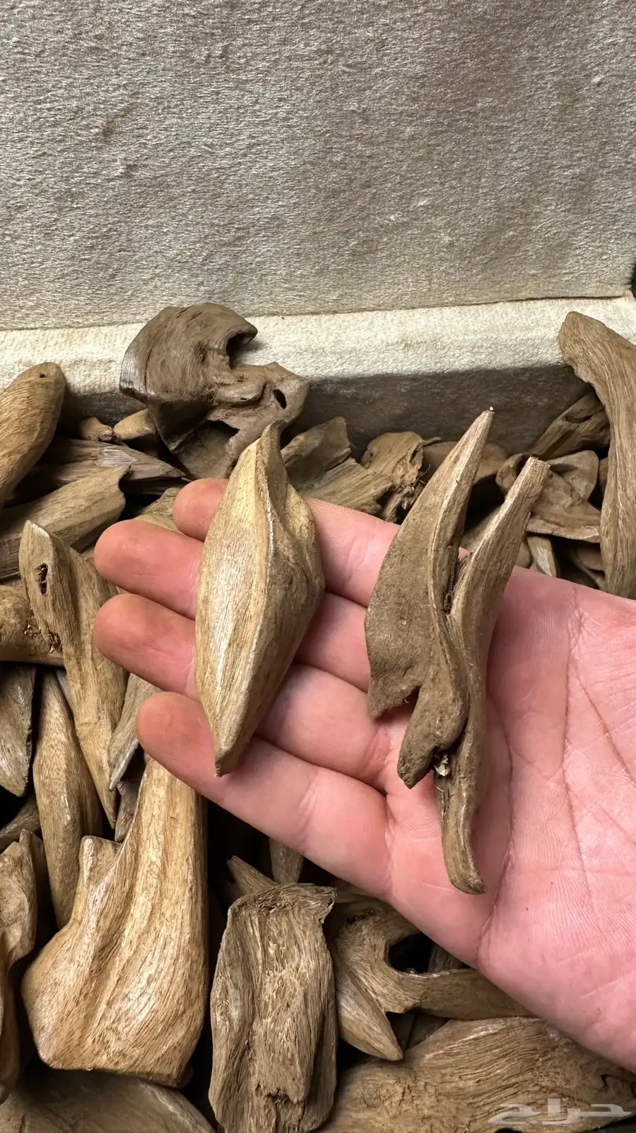مروكي آصقون سوبر 0