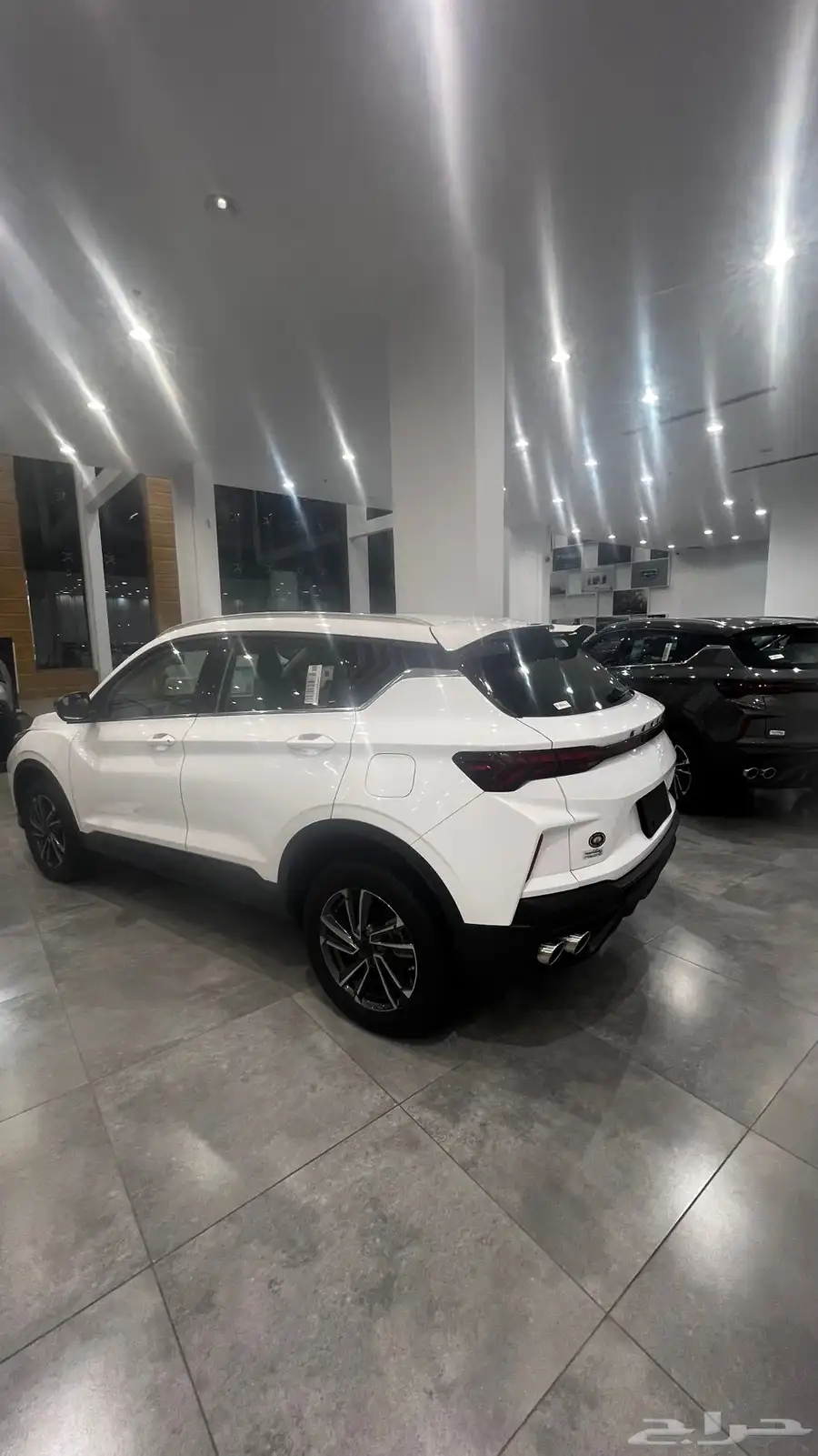 كولراي استاندر 2025 GS عروض 1