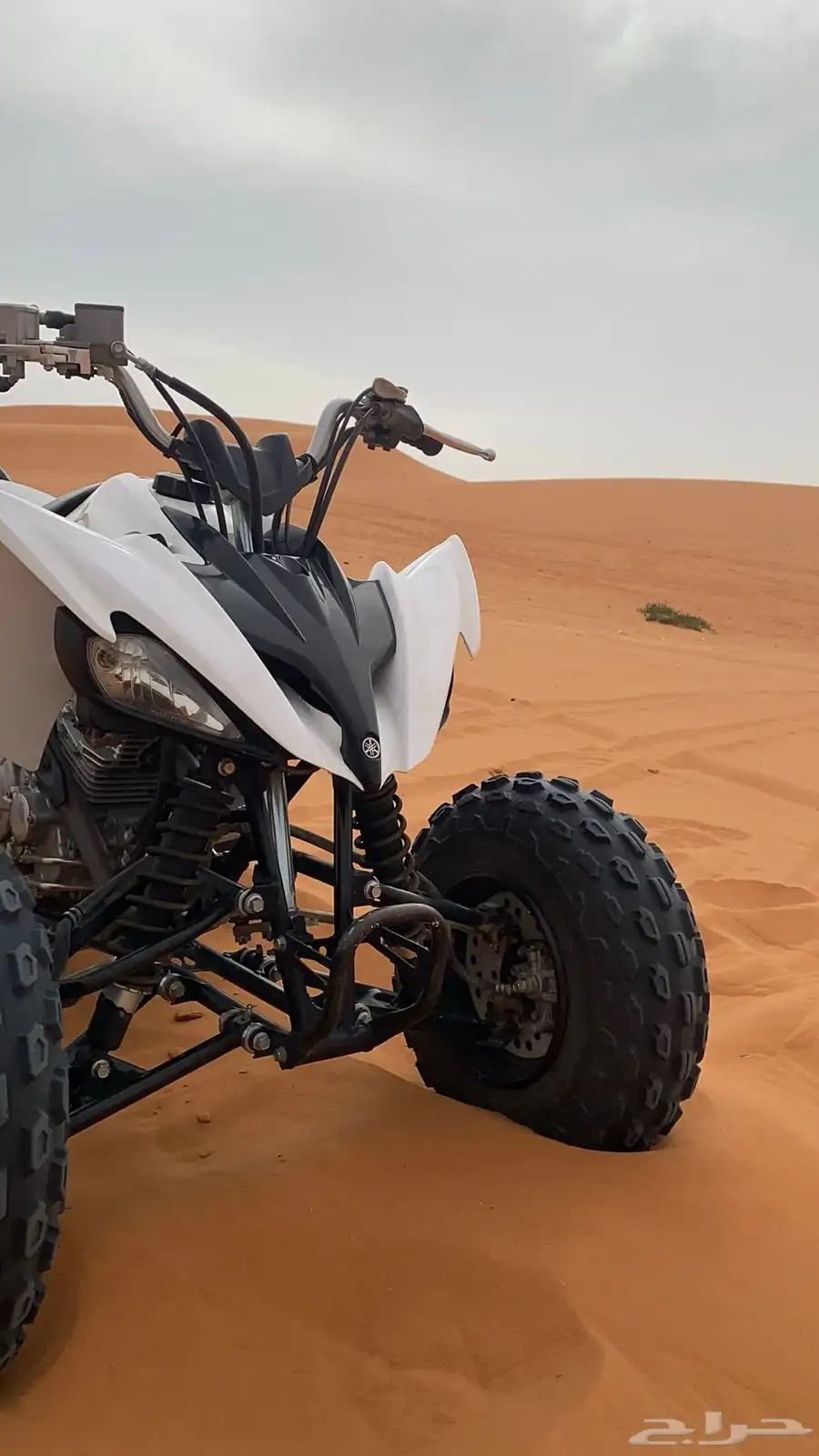 رابتر 250 10