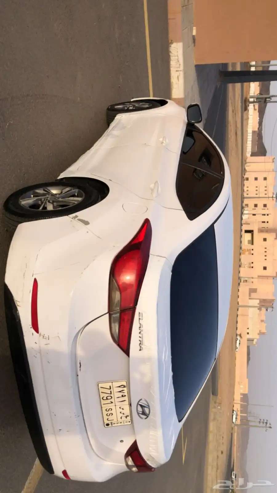 النترا 2015 4