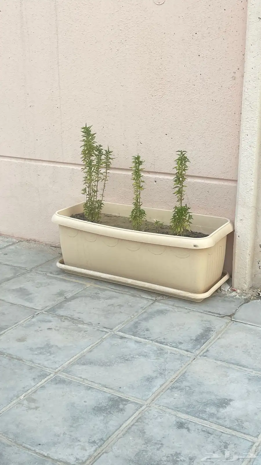 احواض زراعه للبيع 0