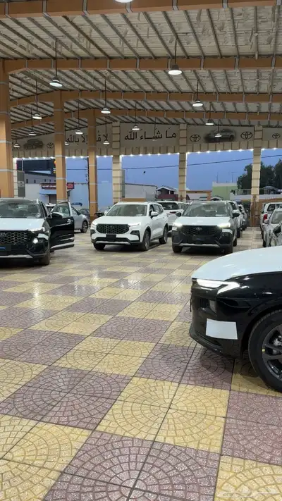 فورد تيريتوري تيتانيوم 2025 20