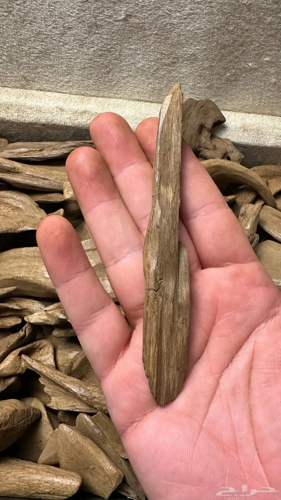 مروكي آصقون سوبر 3