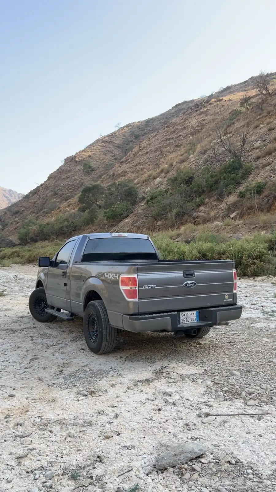 فورد F150 3