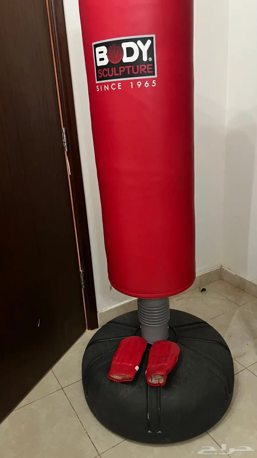 كيس الملاكمة 1