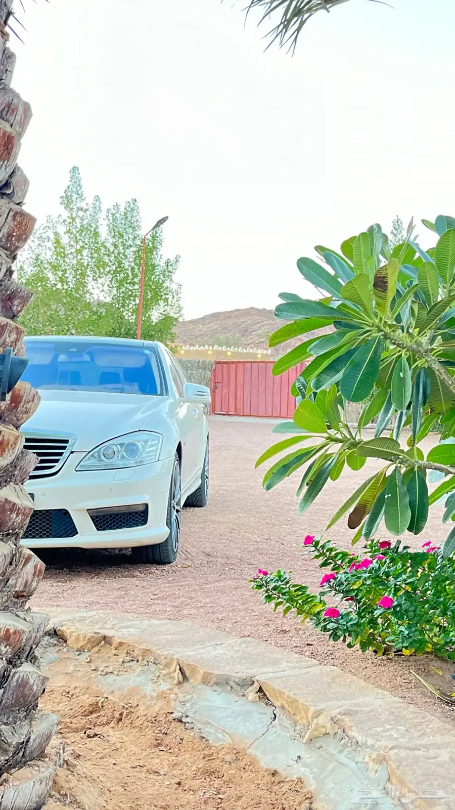 بانوراما 2010 s550 2