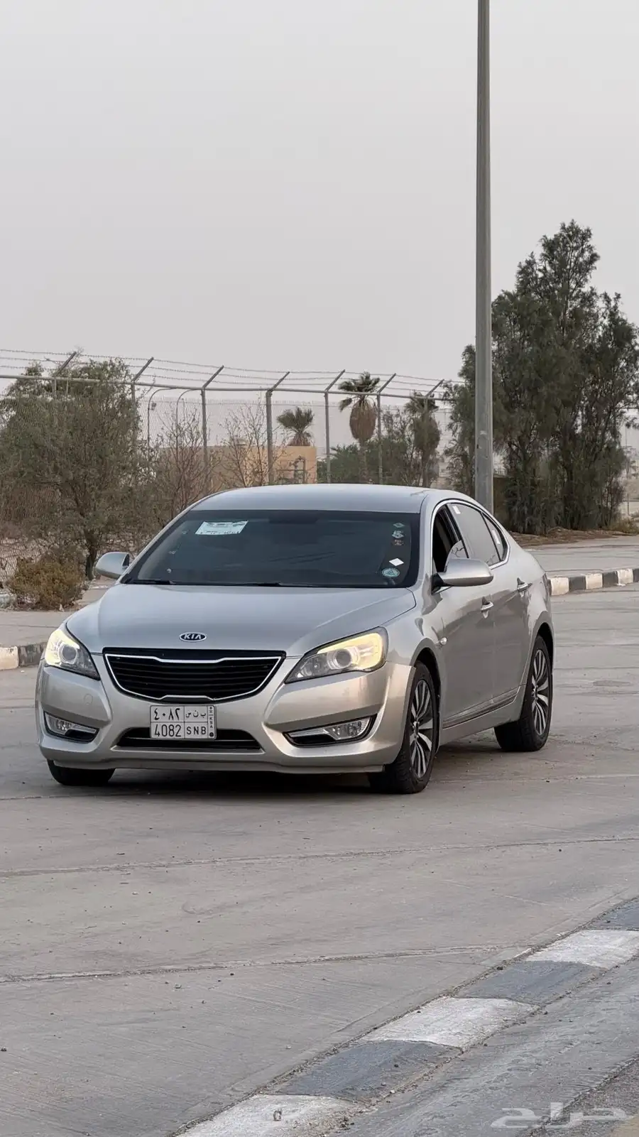 كادينزا 2013 2