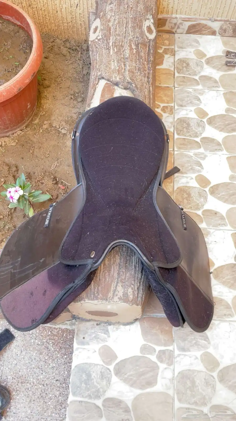 سرج خيل status يجميع ملحقاته 0