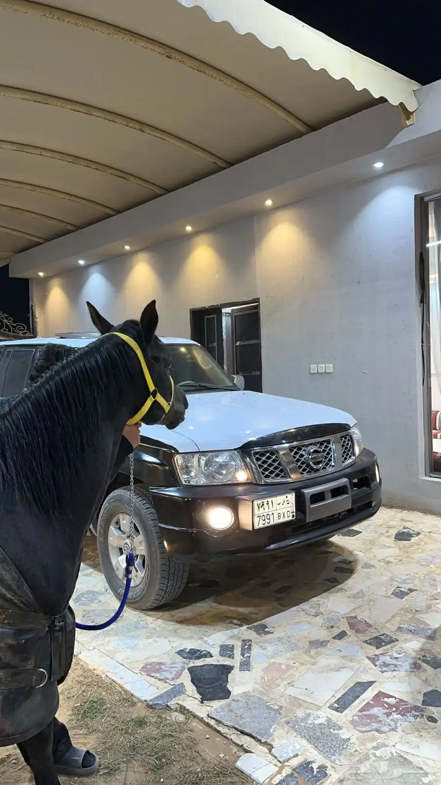 باترول فتك سوبر سفاري 2006 13