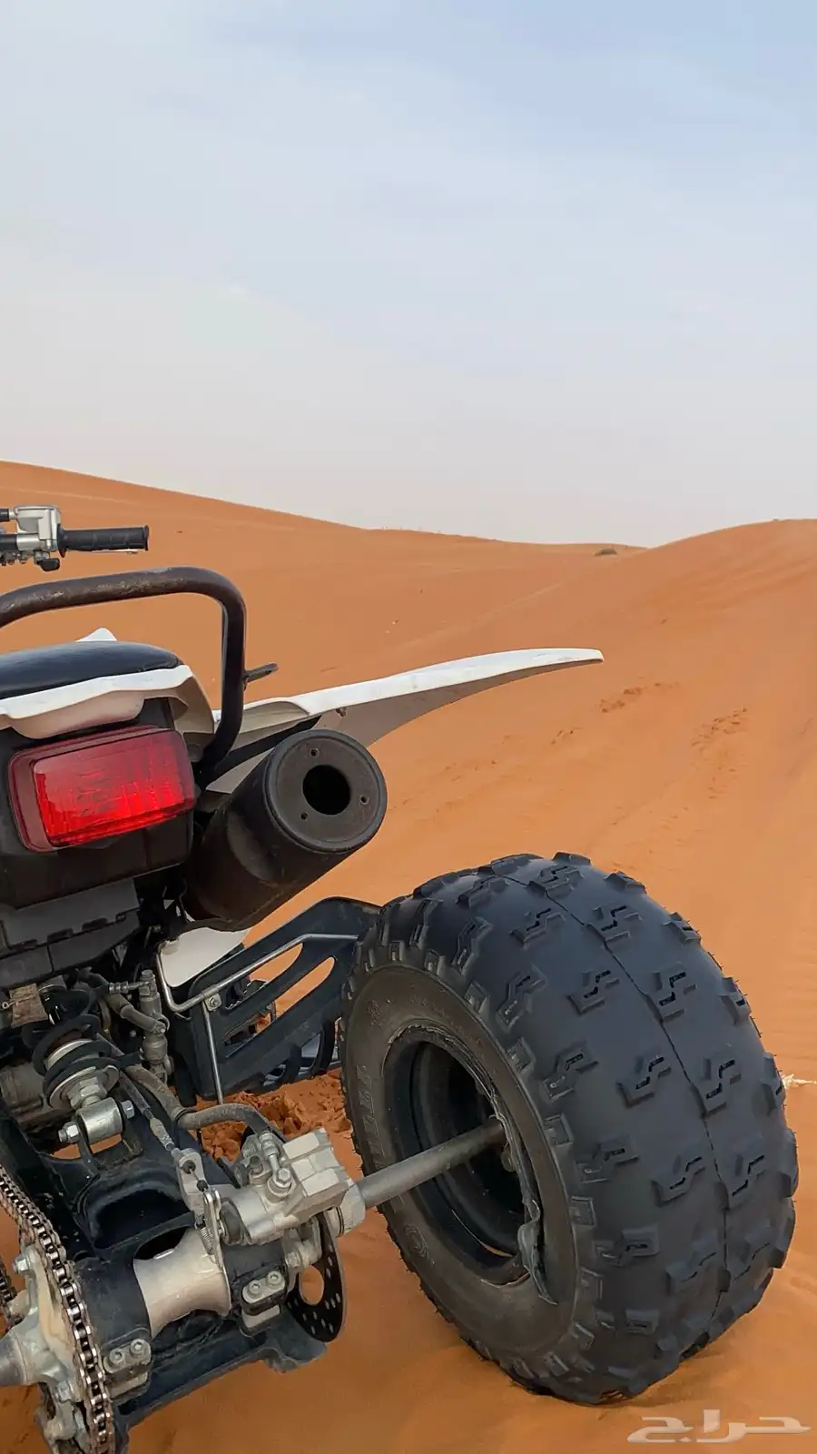 رابتر 250 9