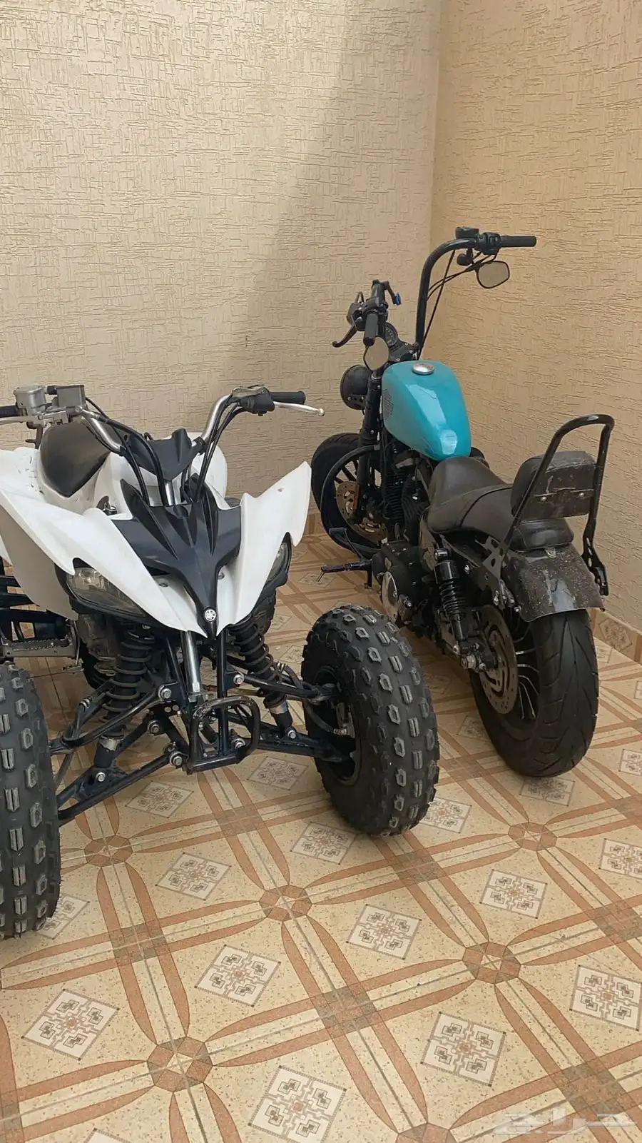 رابتر 250 0