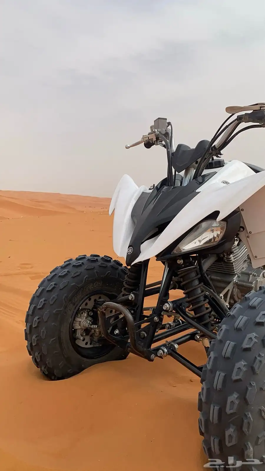 رابتر 250 8