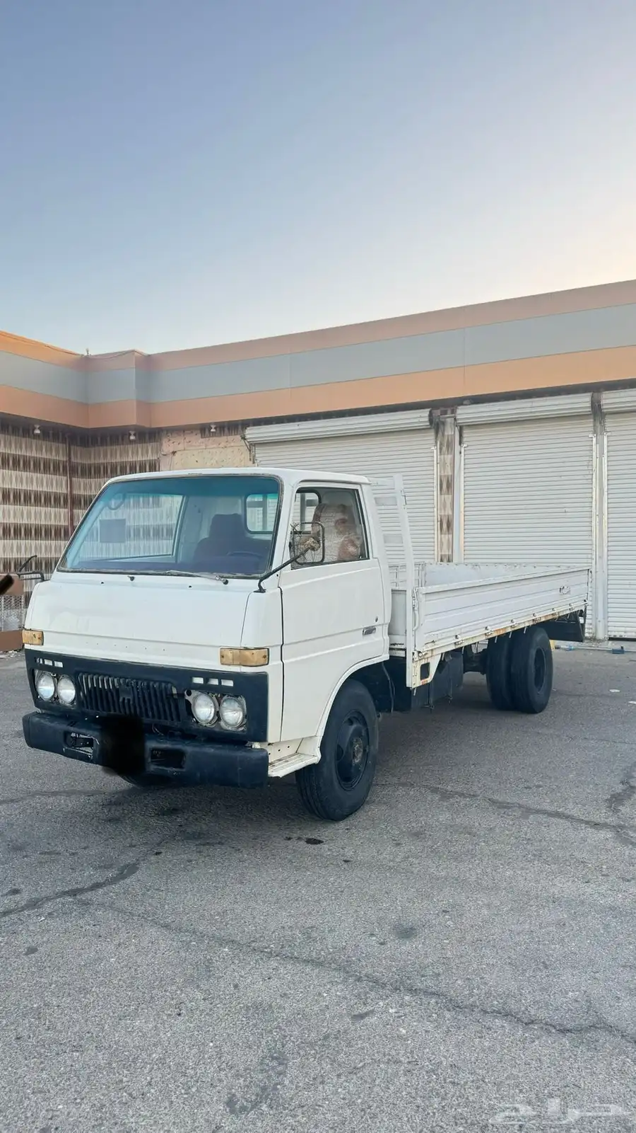 دينه1980 0