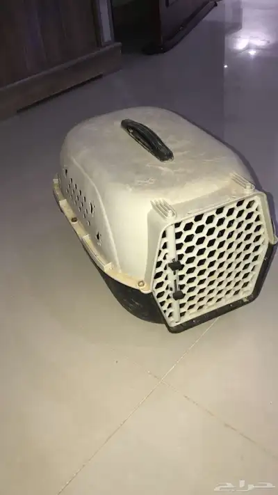اغراض قطط 0