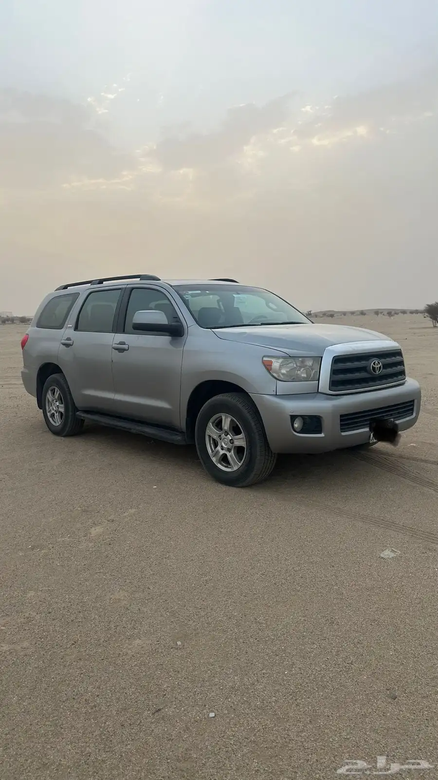 سكويا 2015 5