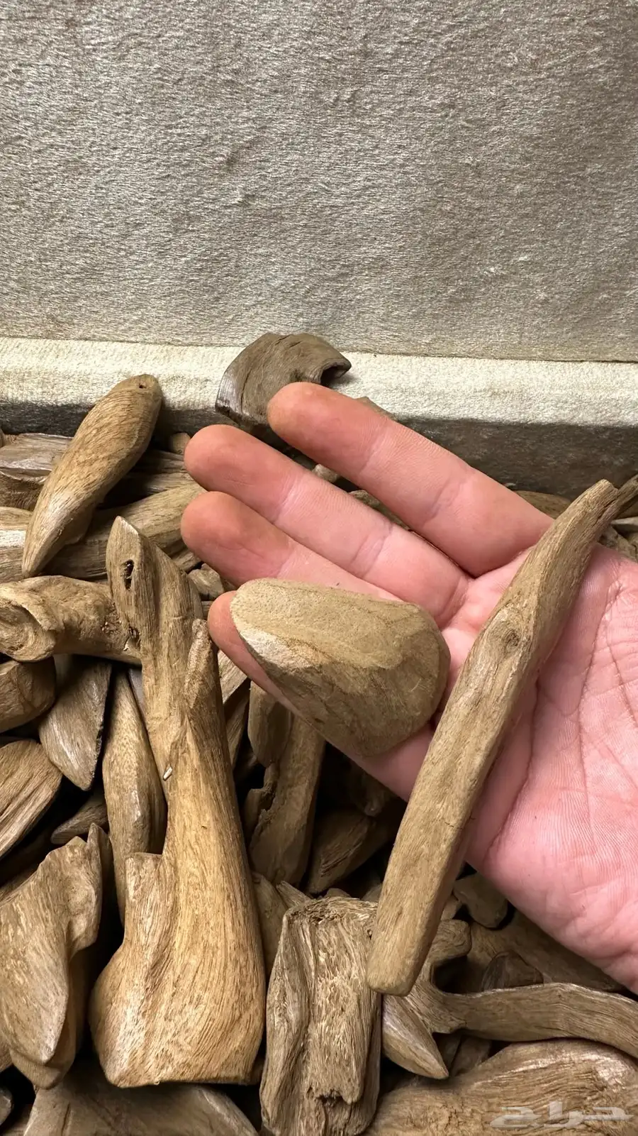 مروكي آصقون سوبر 1