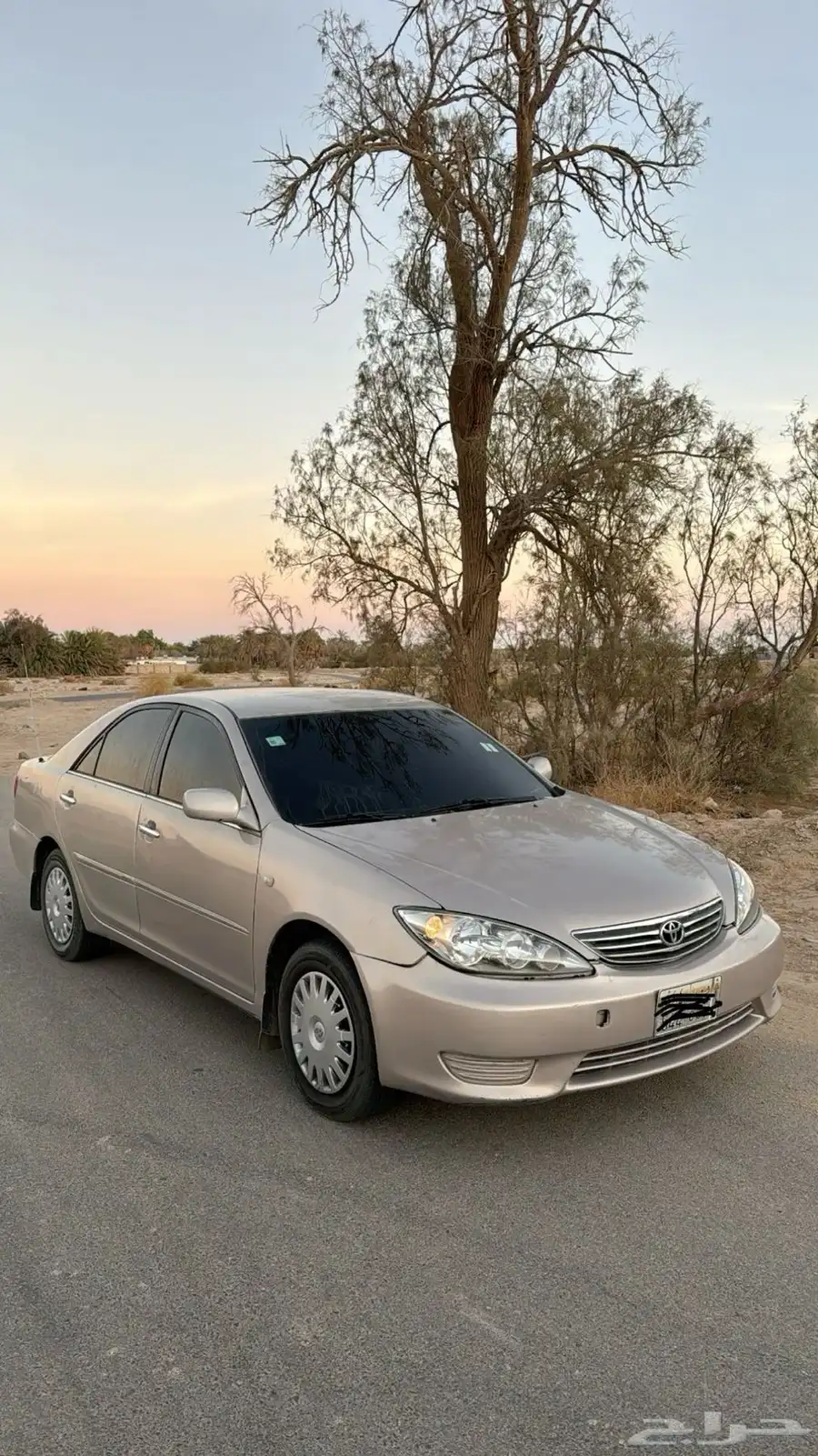 مطلوب كامري 0