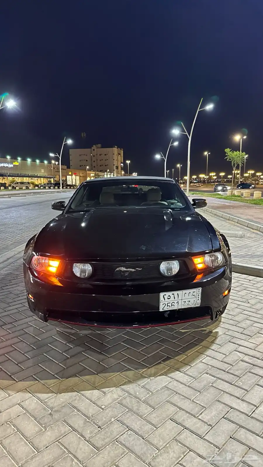 موستنق 2010 كشف 6 سرندل 4