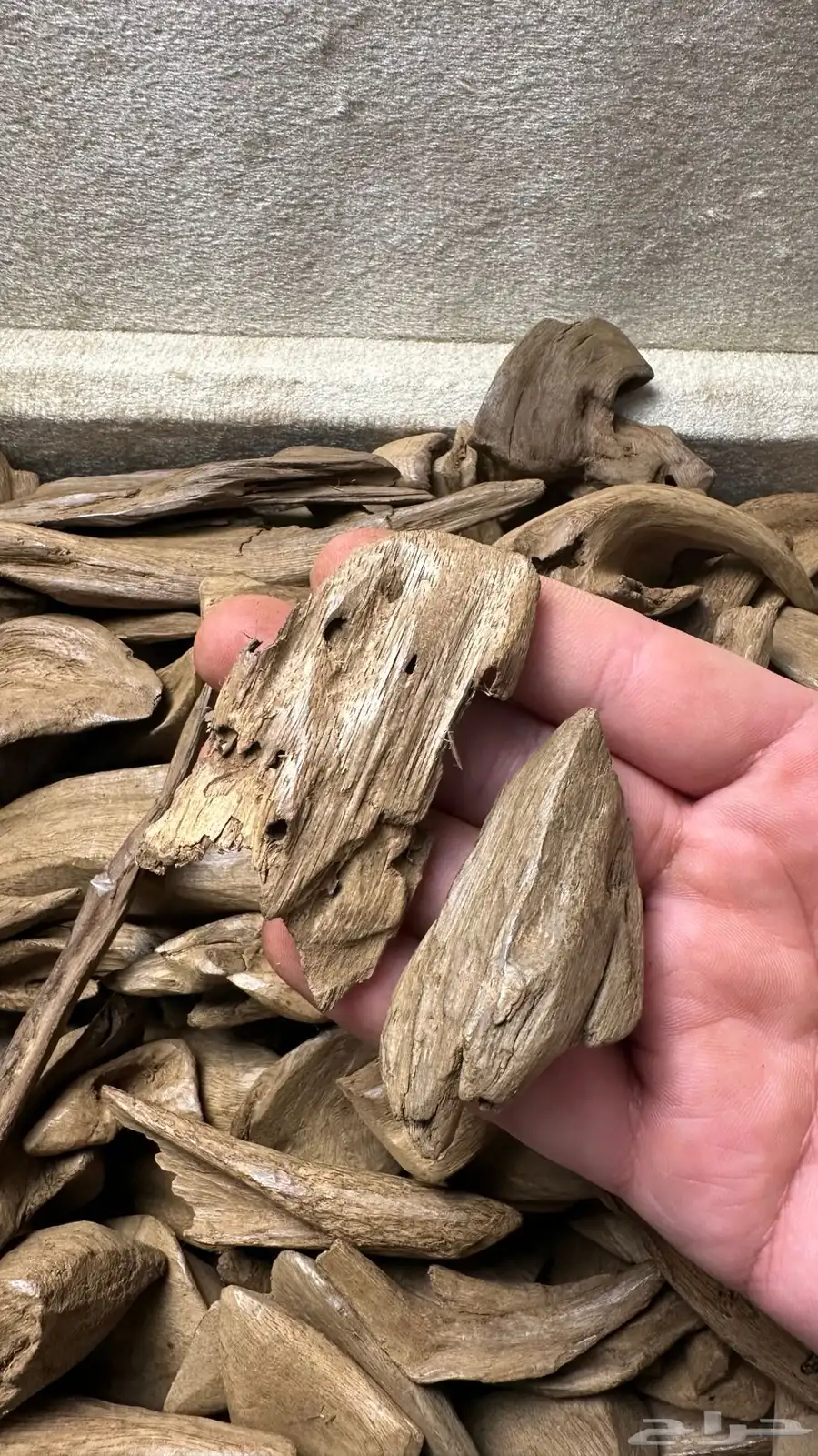 مروكي آصقون سوبر 2