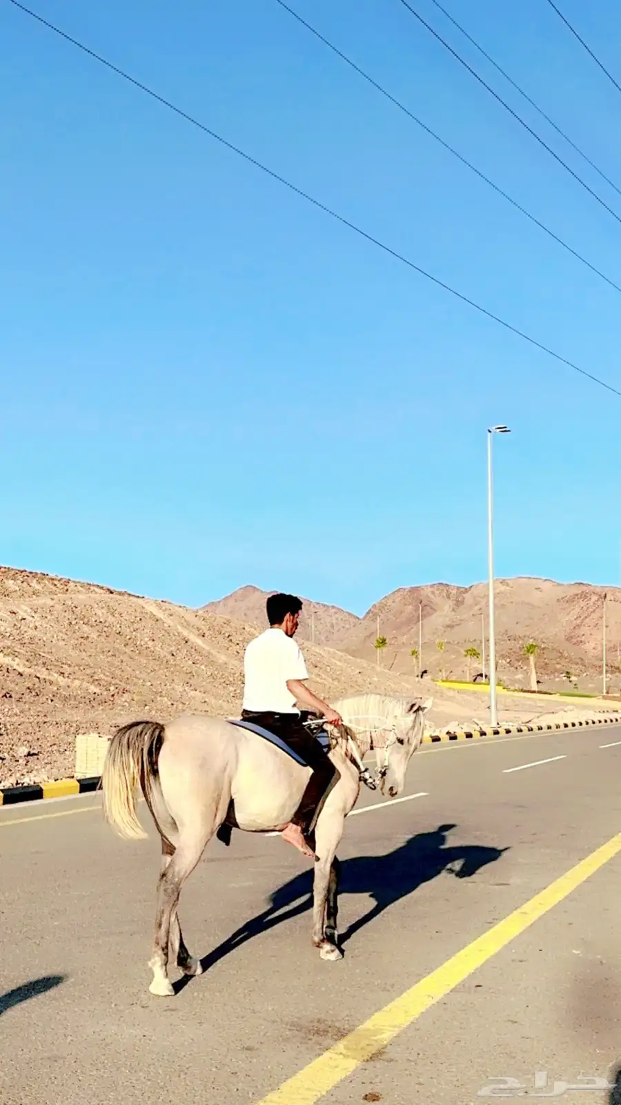مهره عمره سنتين و المهر سنتين و اربع شهور 1