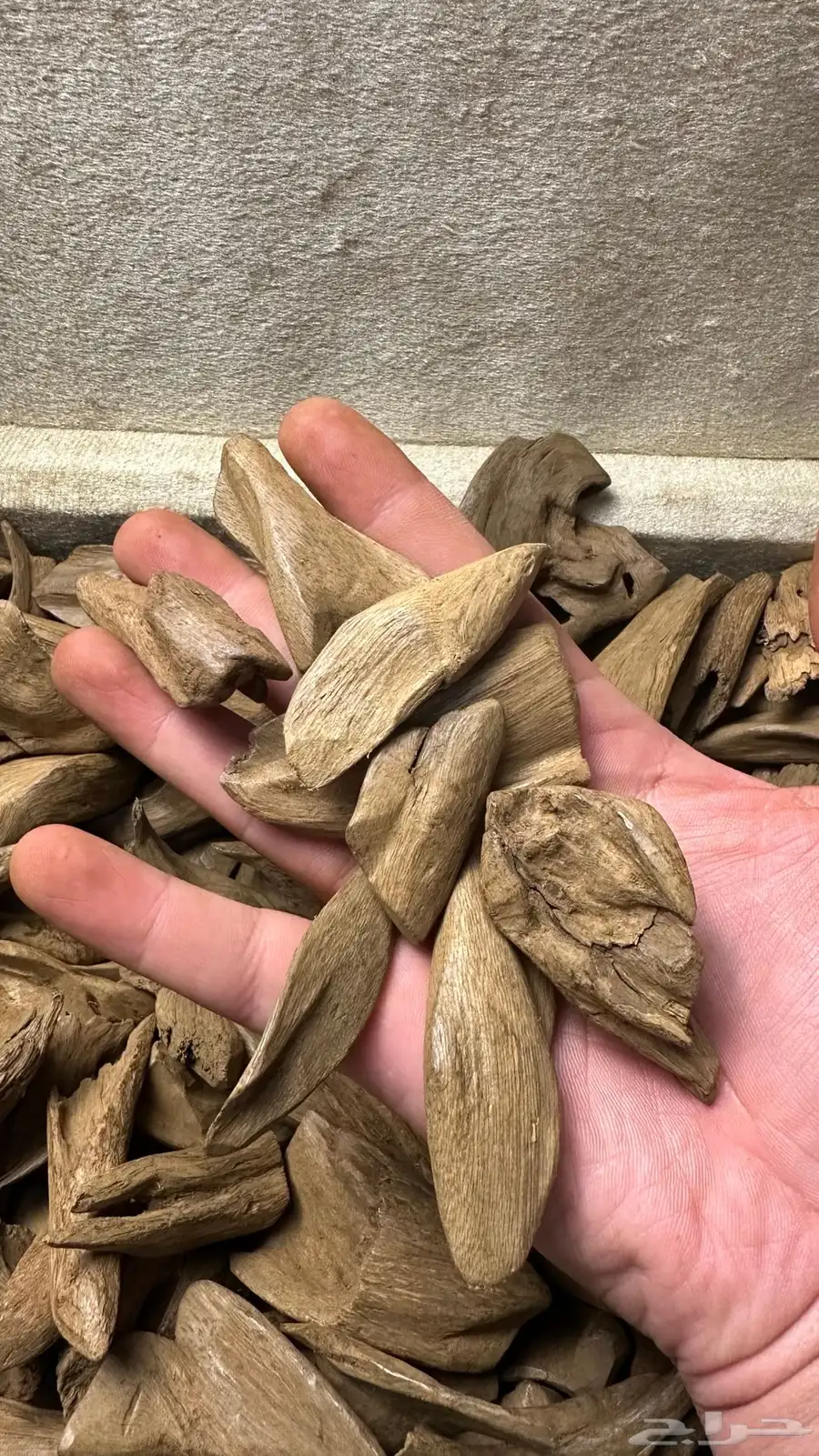 مروكي آصقون سوبر 4