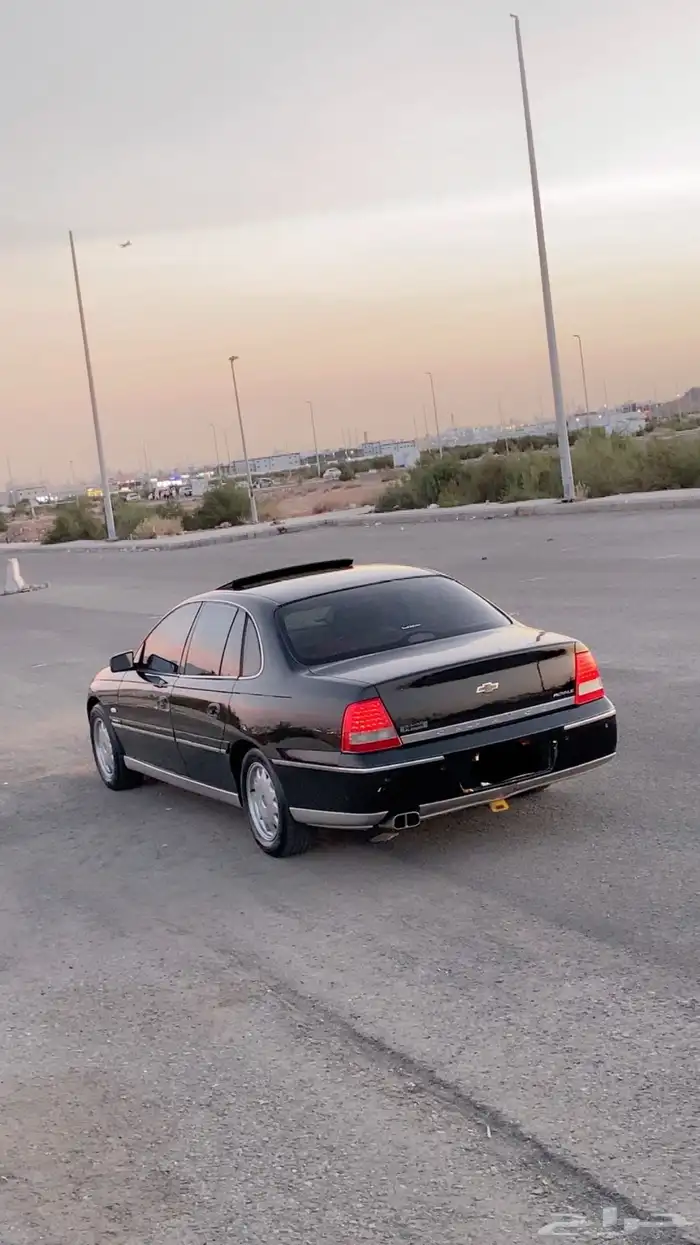 كابرس 2004 رويال 0