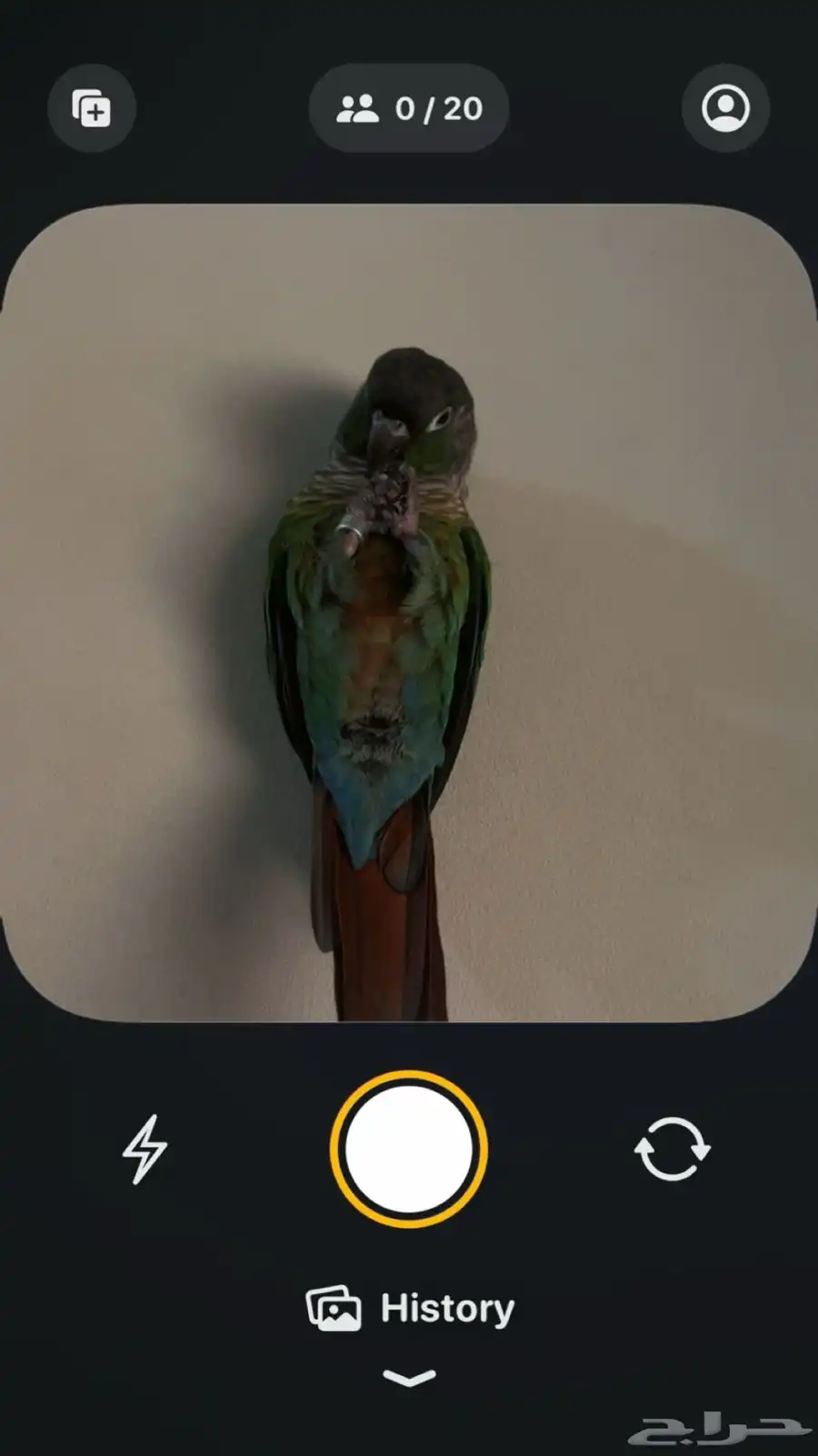 للبيع كنيور 1