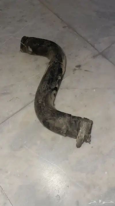 قطع مكسيما 12