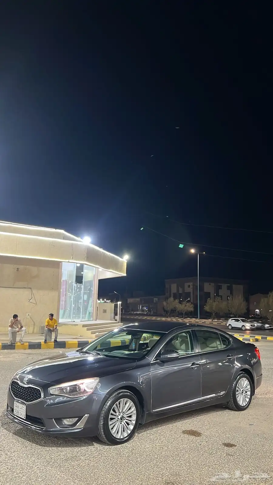كادنزا 2015 1