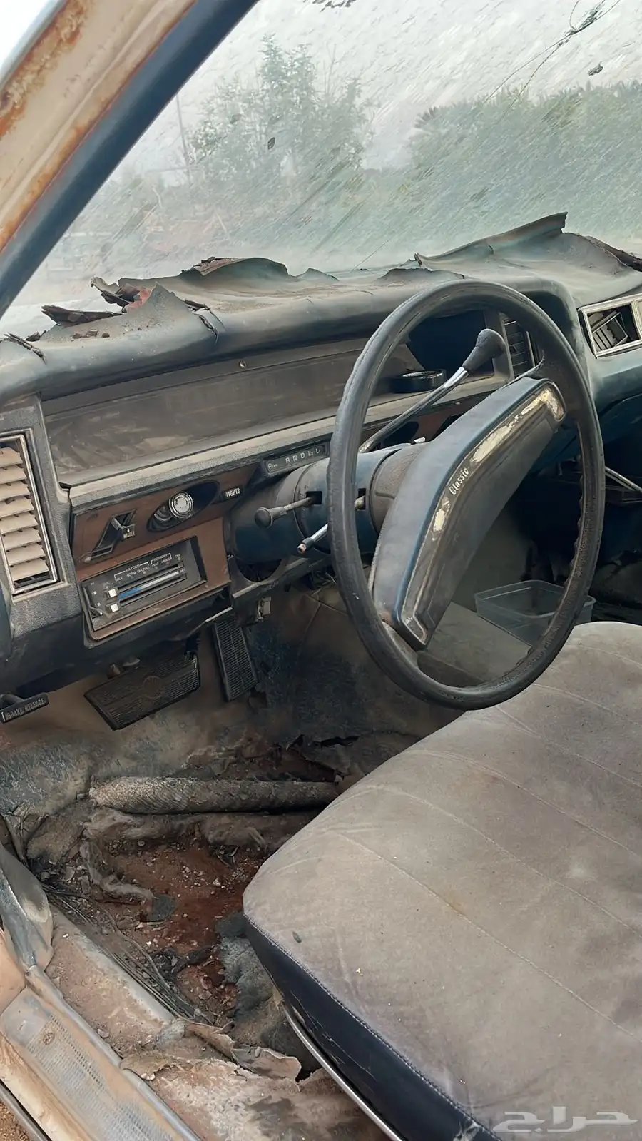 كابرس موديل 1976 index