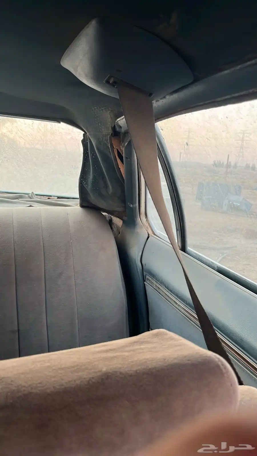 كابرس موديل 1976 index