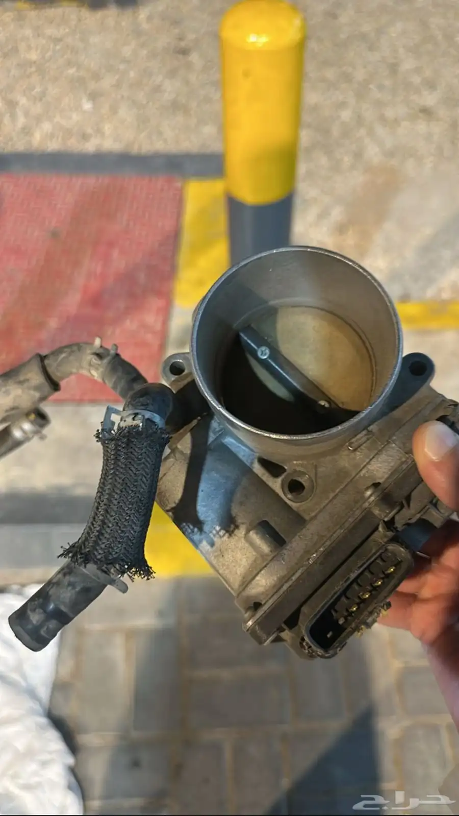 للبيع ثروتل افجي وكاله 0